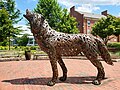 Wolf sculpture at North Carolina State University