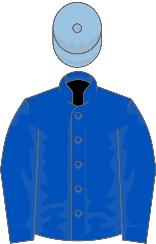 File:Owner Ecurie Wildenstein.svg