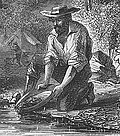 Benson's Ferry