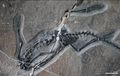 Thumbnail for version as of 18:10, 14 January 2023