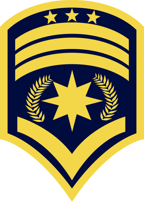 File:Técnico Jefe de Comando FAC.svg