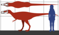 "Nanotyrannus".