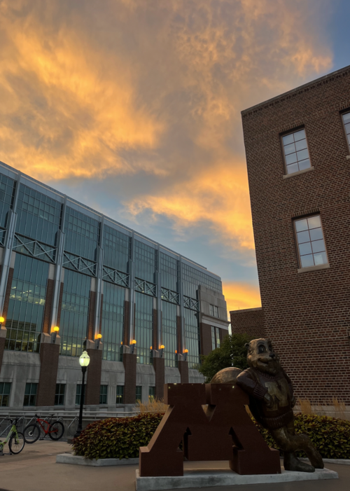 File:University of Minnesota, Goldy the Gopher.png