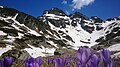 Image 18Alpine landscape below Malyovitsa Peak, Rila Mountain, Bulgaria (from Montane ecosystem)