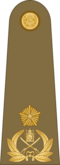 Brigadier General