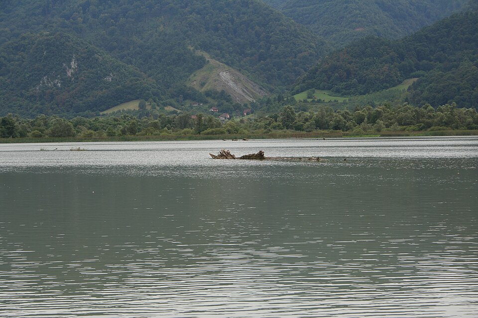 File:Culine 160.jpg