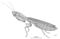 Thumbnail for version as of 04:45, 19 September 2018