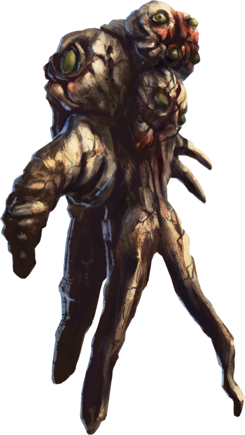 File:MatthewF1.png