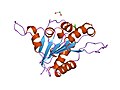 Thumbnail for version as of 03:30, 9 March 2009