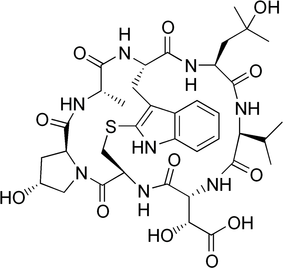 File:Phallacin.png