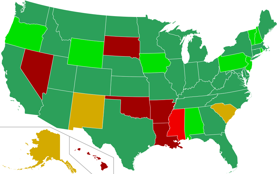 File:US write-in 2024.svg