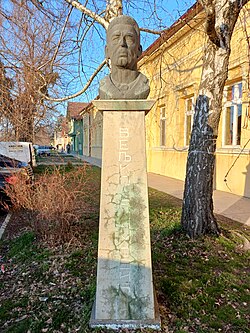 Bust of Veljko Vlahović in Temerin