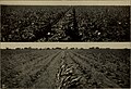 Thumbnail for version as of 12:15, 15 August 2016