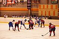 Thumbnail for version as of 11:53, 9 January 2012