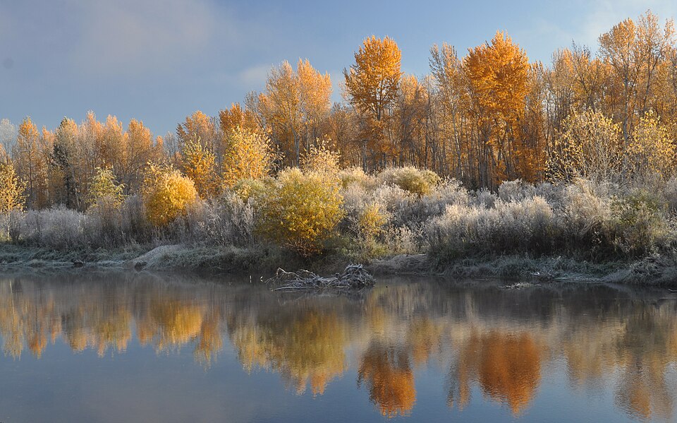 File:Npnht-chief-looking-glass-state-park-near-florence-montana-october-2011-rogermpeterson-019 (6819423200).jpg