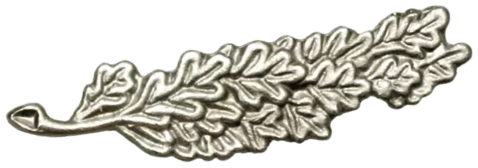 File:Queen's Commendation for Valuable Service.png