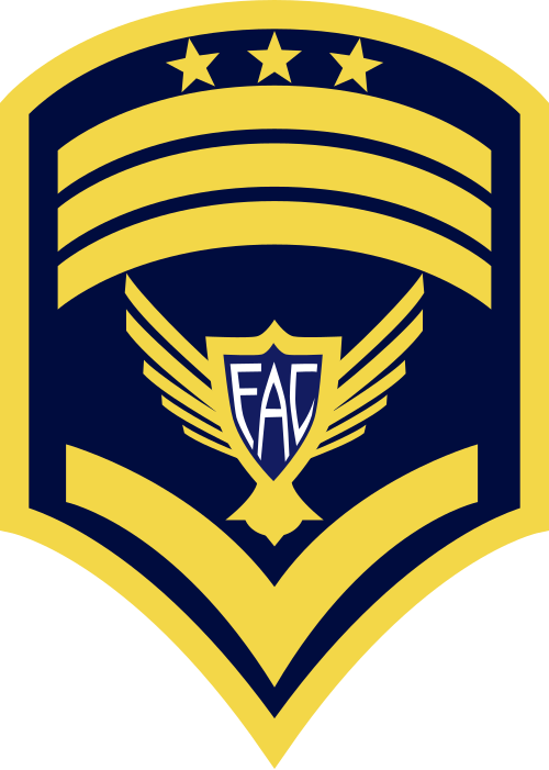 File:Técnico Jefe FAC.svg