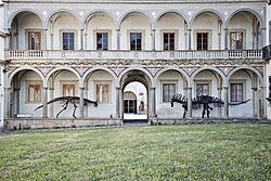 Natural History Museum of the University of Pisa