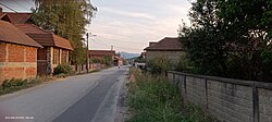 A road in Donja Jajina in the daytime.