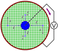 Thumbnail for version as of 21:03, 16 May 2021
