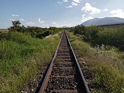 Picture showing the old metre gauge railway line neglected and overgrown with bushes.