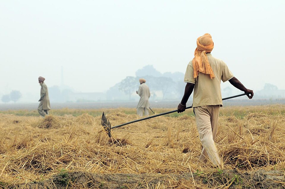 File:NP India burning 46 (6314792401).jpg