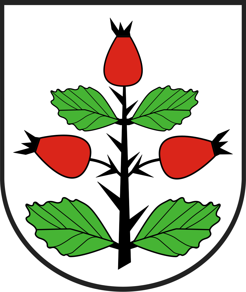 File:POL gmina Rzgów (powiat koniński) COA.svg