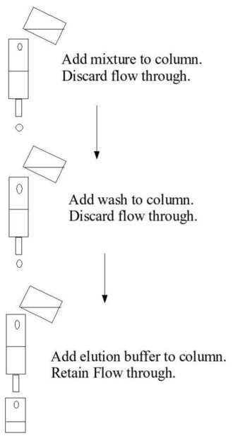 File:Affinity-column.png