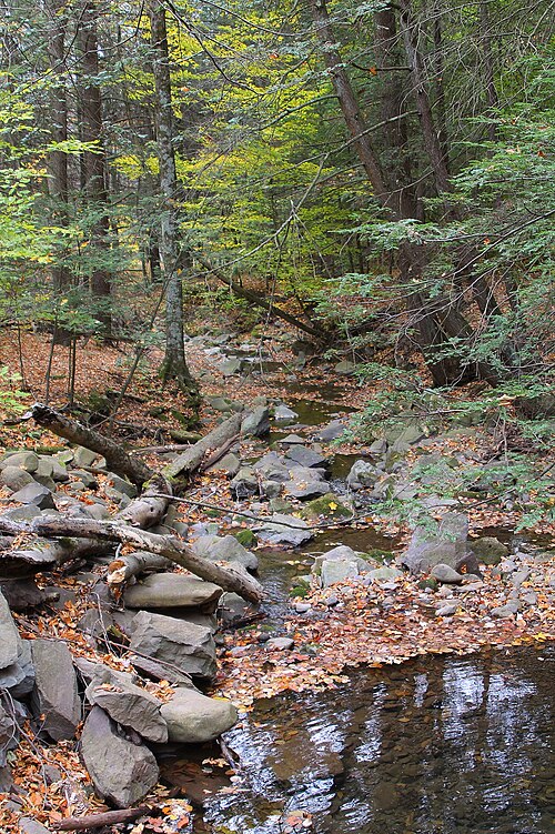 File:Newton Run looking downstream.JPG
