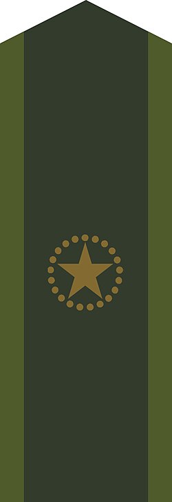 File:OR-6 Förste sergeant.jpg