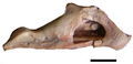 Thumbnail for version as of 20:34, 17 December 2016