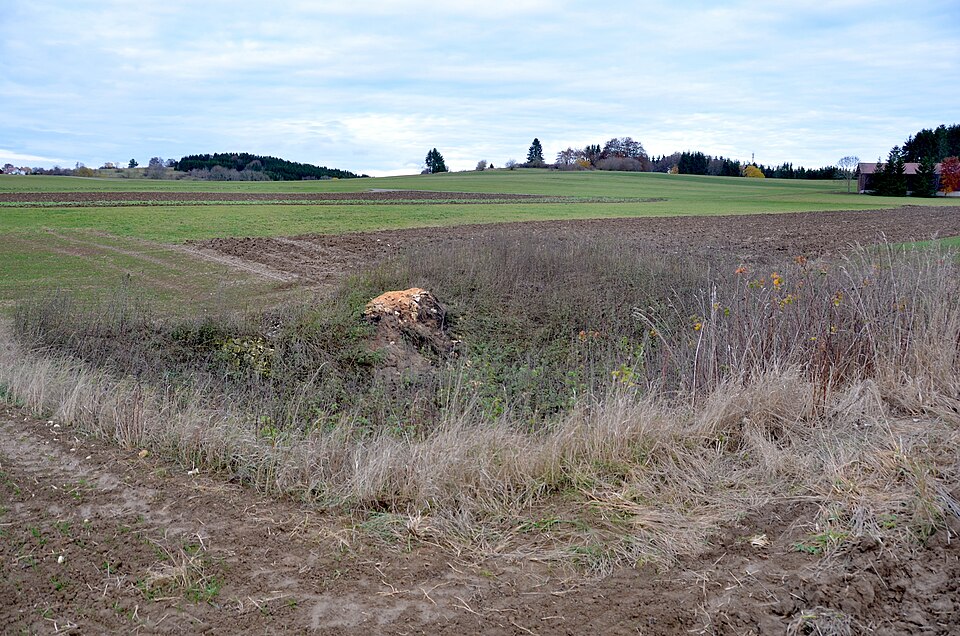 File:Geotop Doline südlich von Meßstetten, Zollernalbkreis.jpg
