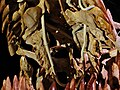 Thumbnail for version as of 19:40, 7 January 2016