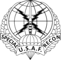 Special Reconnaissance Crest