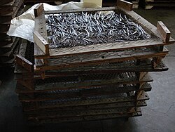 Vanilla seedpods drying