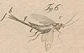 Thumbnail for version as of 18:00, 25 September 2017