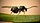 Stub icon