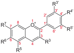 Anthocyanin, a red to blue dye depending on functional groups and pH