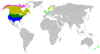 Description de l'image Branta canadensis map.png.
