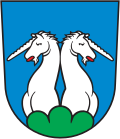 Coat of arms of Hünenberg