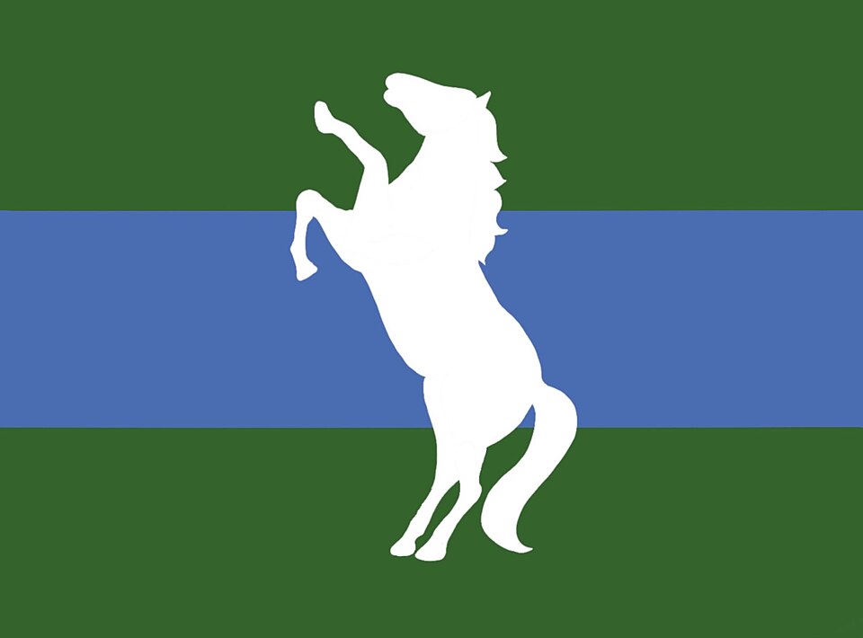File:Flag of Pacolet.jpg