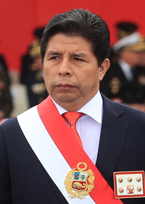 File:Pedro Castillo portrait.png