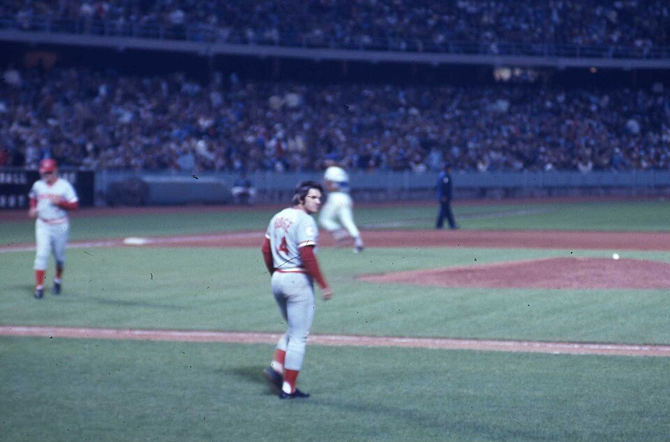 File:Rose walking onto field.jpg