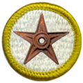Scouting Barnstar