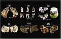 Thumbnail for version as of 00:10, 16 January 2020