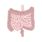 intestines