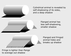 A flanged body or a camouflage net helps to hide a shadow.