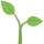 🌱