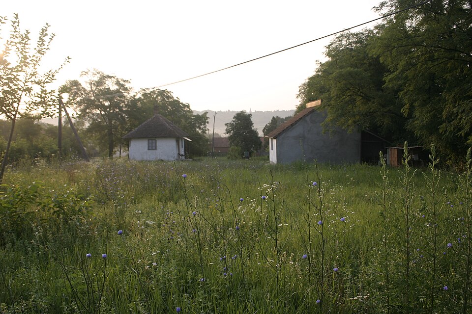 File:Krcevac farming village.JPG