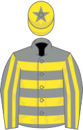 Grey and yellow hoops, striped sleeves, yellow cap, grey star